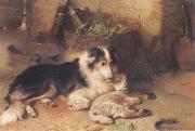 Walter Hunt The Shepherd-s Pet china oil painting reproduction